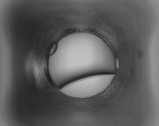 X0000102391155200808010929