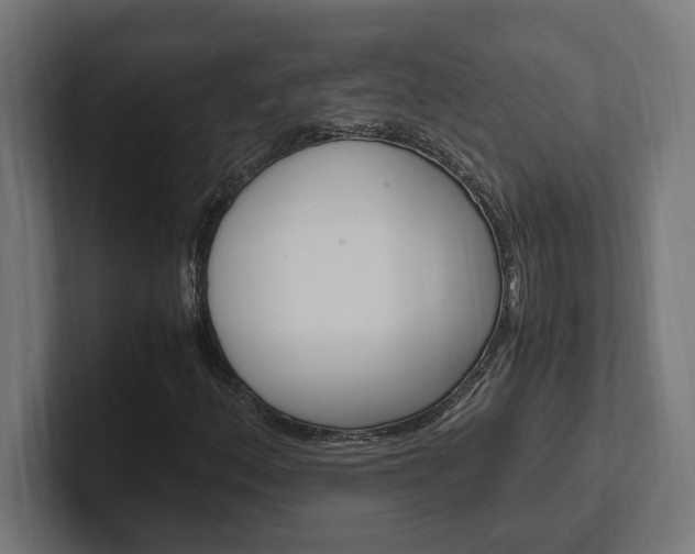 X0000102391156200808010929