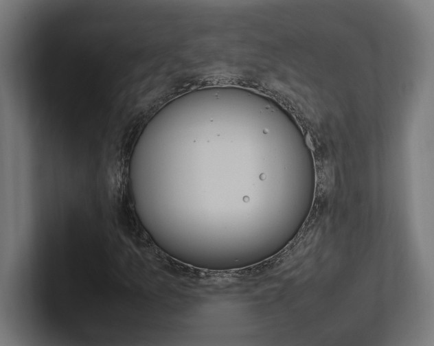 X0000102391157200808010929
