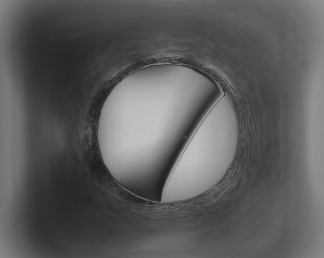 X0000102391159200808010929