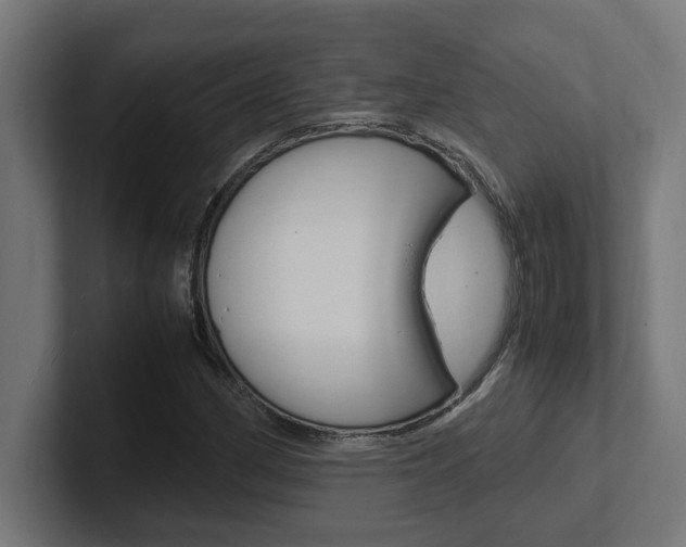 X0000102391162200808010928
