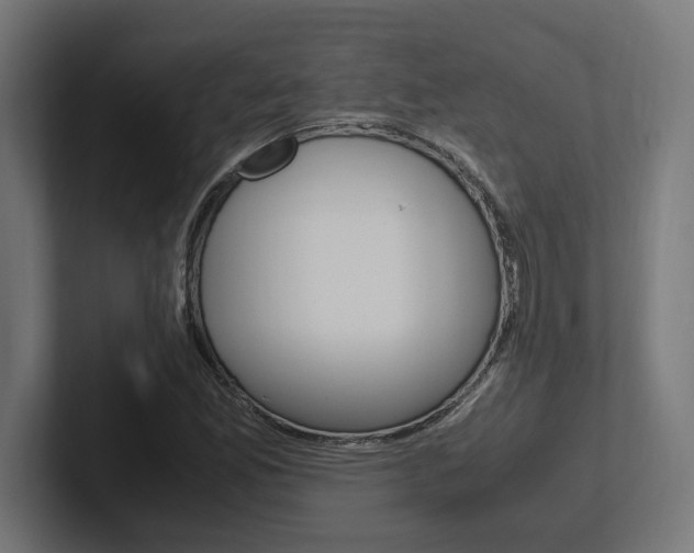 X0000102391165200808010928