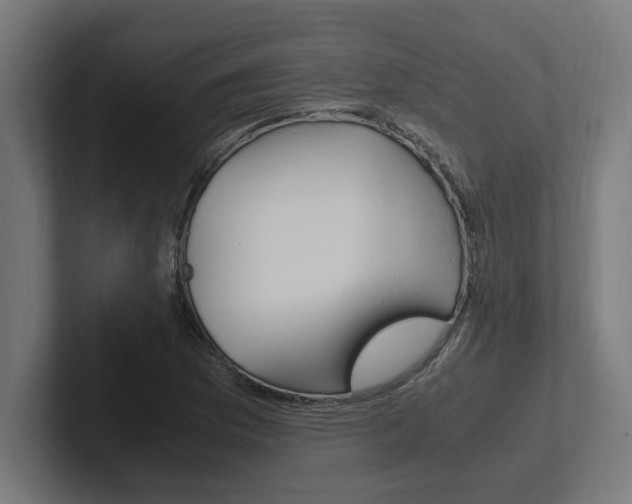 X0000102391169200808010928