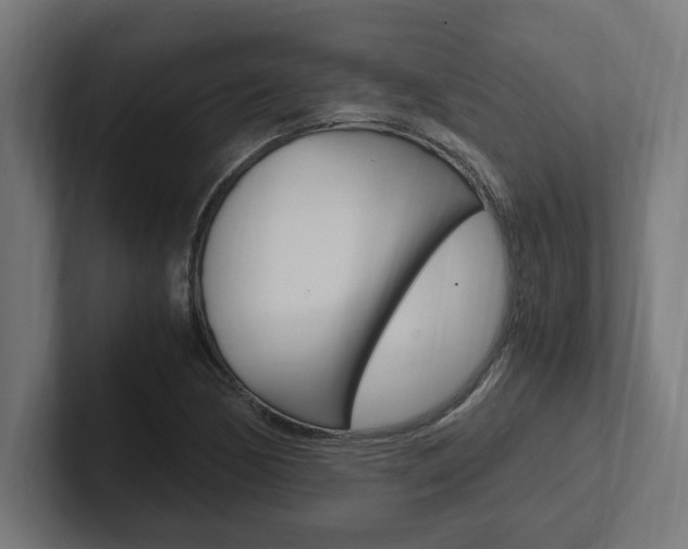 X0000102391170200808010928