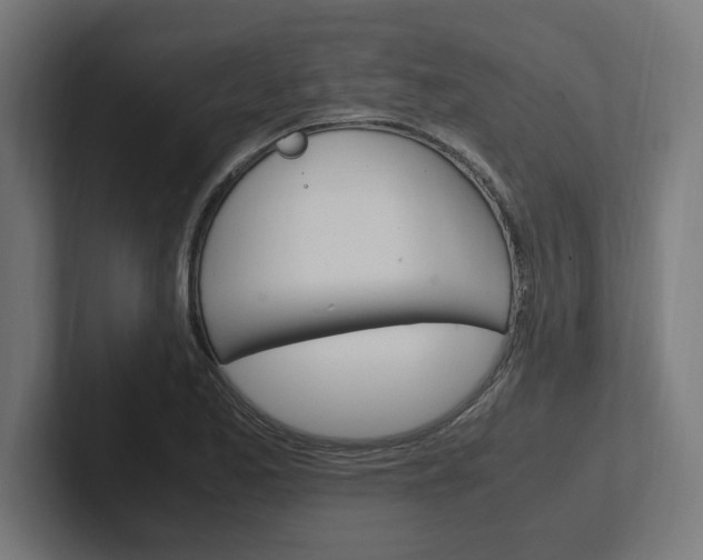 X0000102391173200808010928