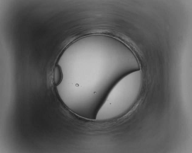 X0000102391177200808010928