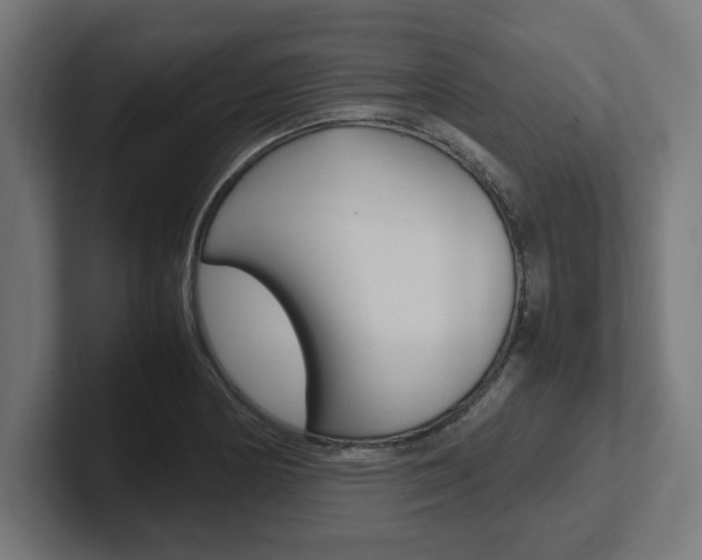 X0000102391178200808010928