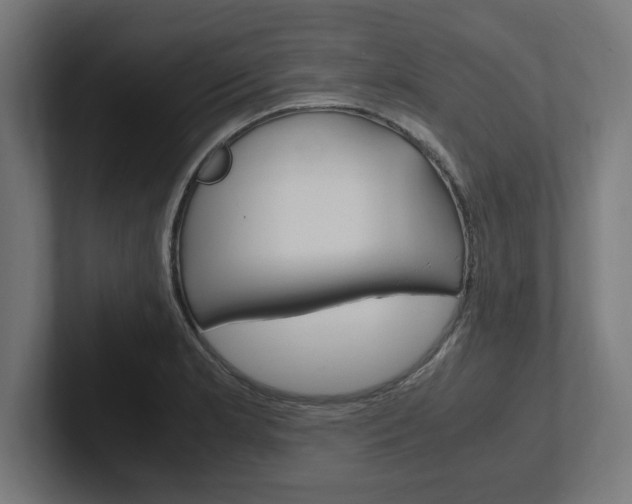 X0000102391181200808010928