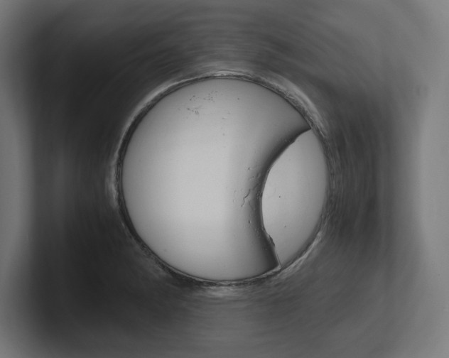 X0000102391182200808010928
