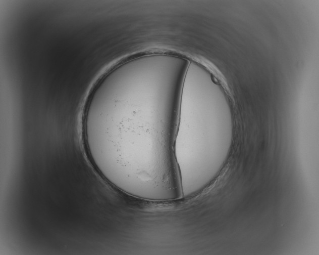 X0000102391183200808010928