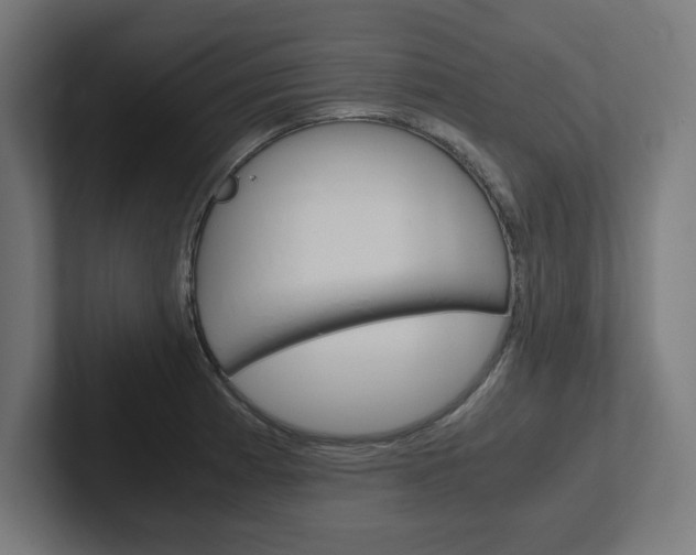 X0000102391185200808010928