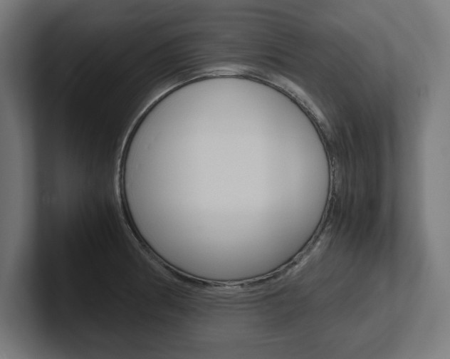 X0000102391186200808010928