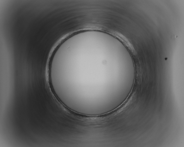 X0000102391188200808010928