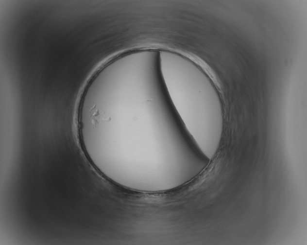 X0000102391191200808010928