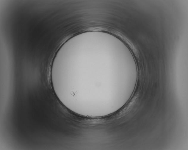 X0000102391193200808010928