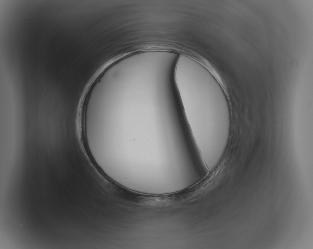 X0000102391195200808010928