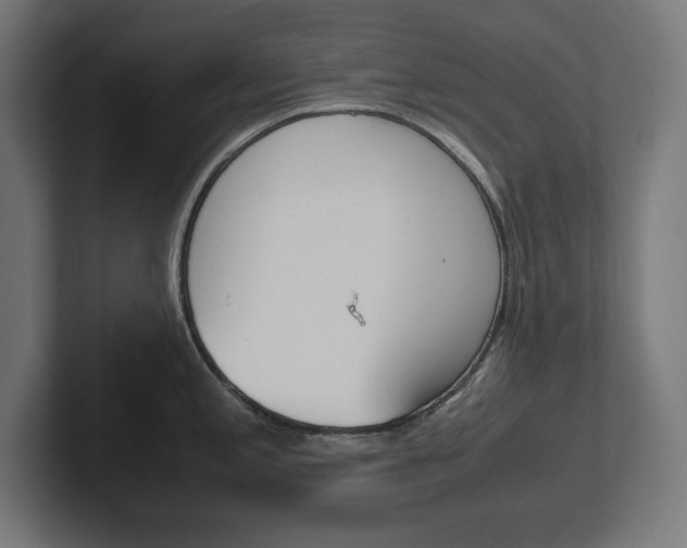 X0000102391197200808010928