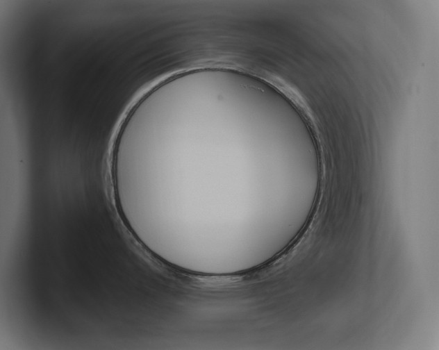 X0000102391200200808010928