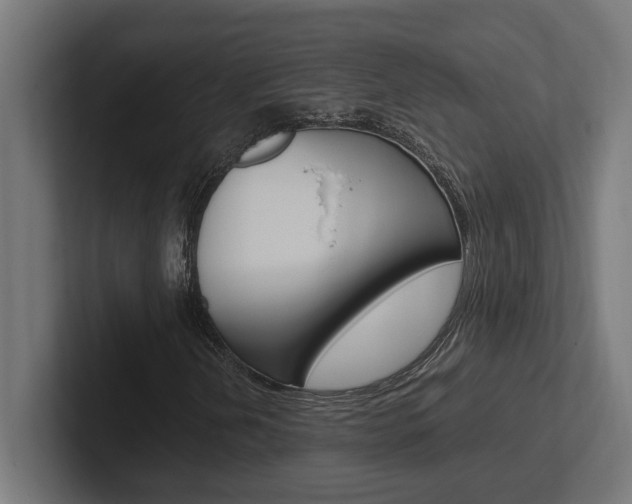 X0000102391202200808010927
