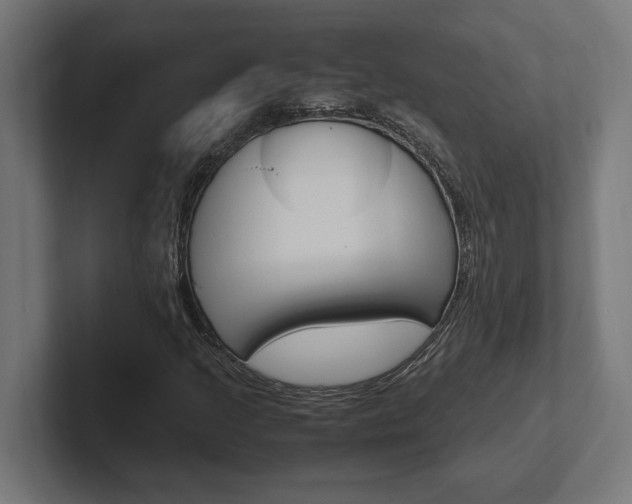 X0000102391205200808010927