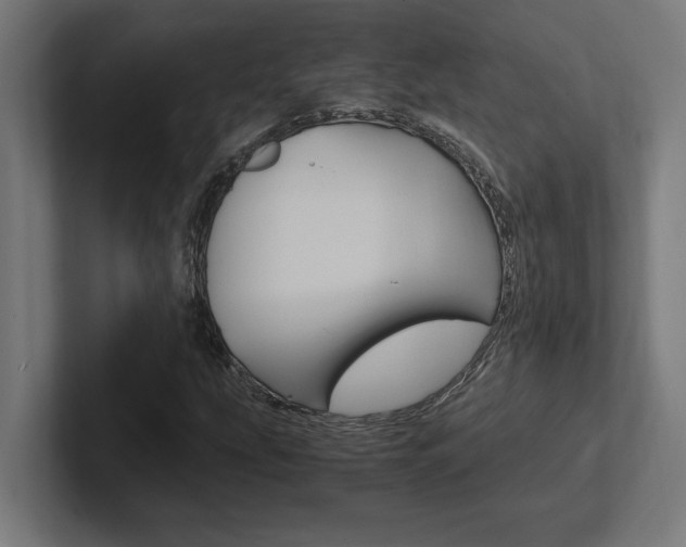X0000102391207200808010927