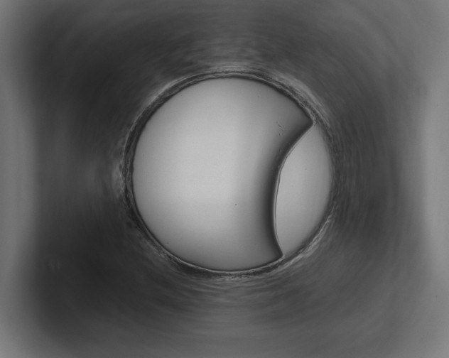 X0000102391212200808010928