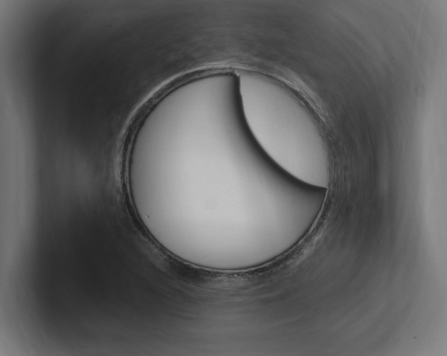 X0000102391216200808010928