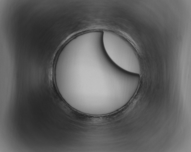 X0000102391220200808010928