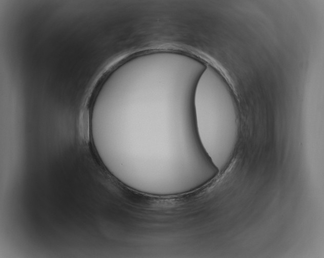 X0000102391223200808010928