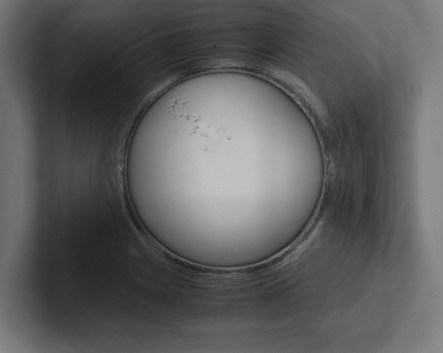 X0000102391225200808010928