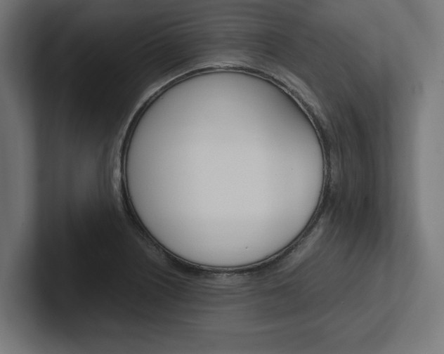 X0000102391226200808010928