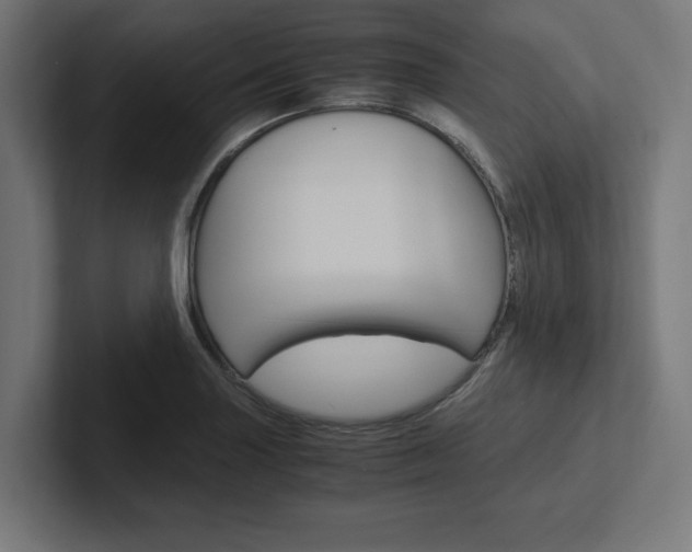 X0000102391227200808010928