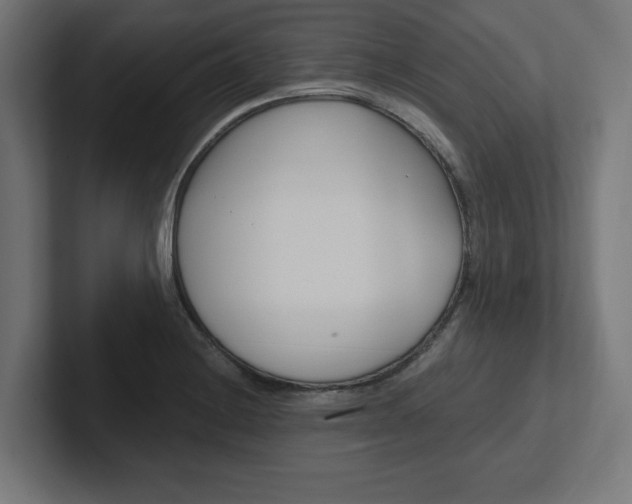 X0000102391228200808010928