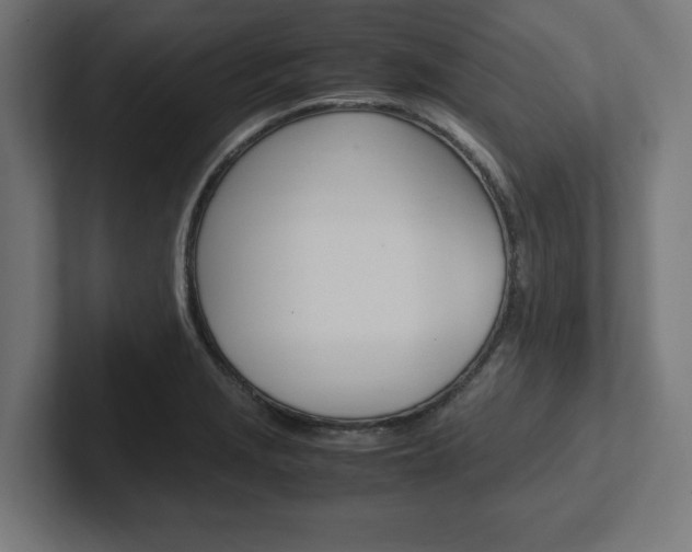 X0000102391229200808010928