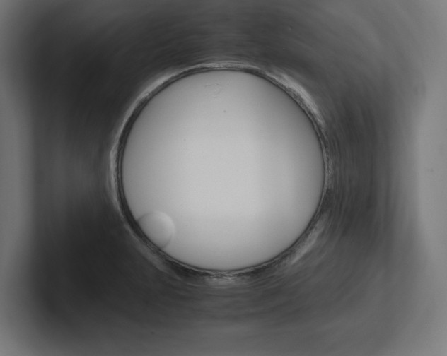 X0000102391231200808010928