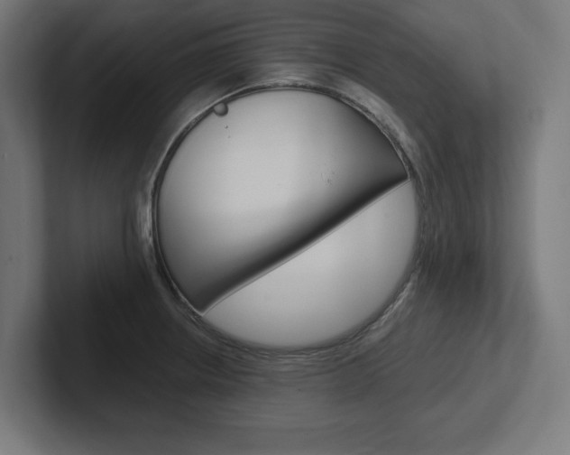 X0000102391234200808010928