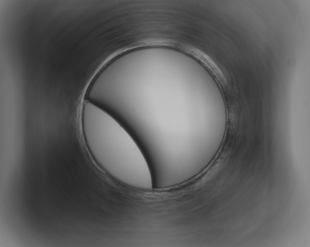 X0000102391236200808010928