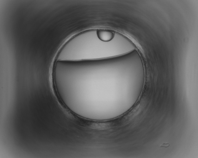 X0000102391237200808010928