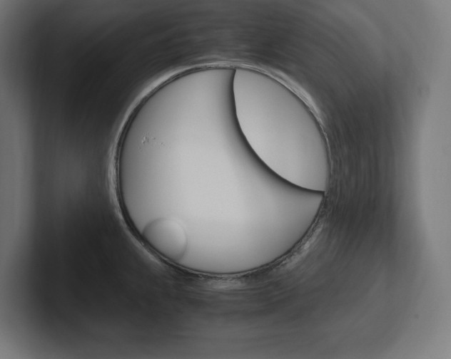 X0000102391239200808010928