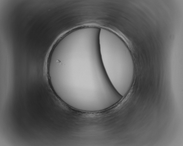 X0000102391240200808010928