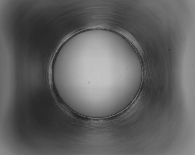 X0000102391242200808010928
