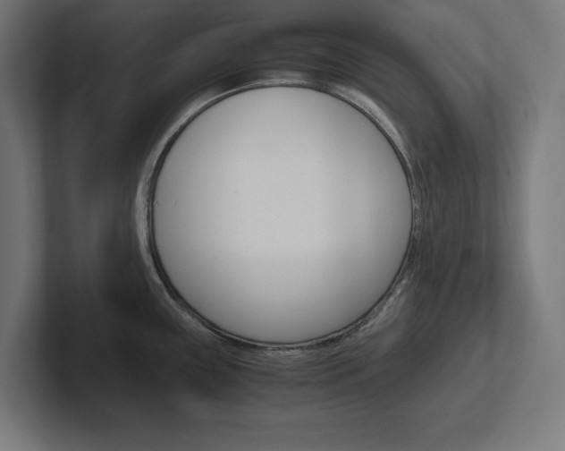 X0000102391243200808010928