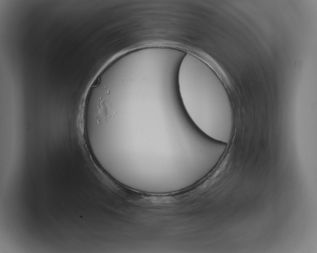 X0000102391244200808010928