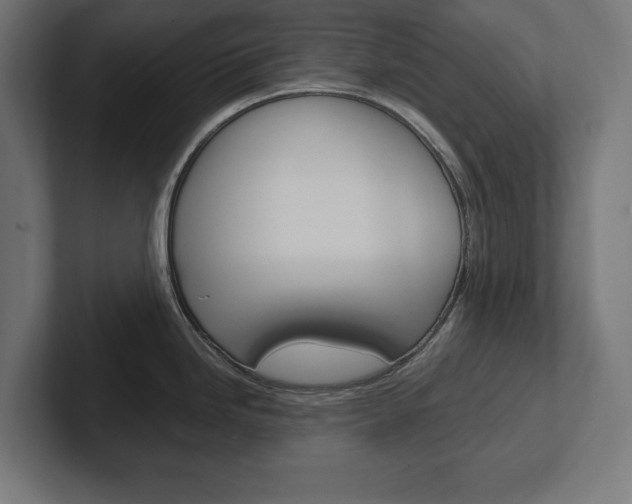 X0000102391246200808010928