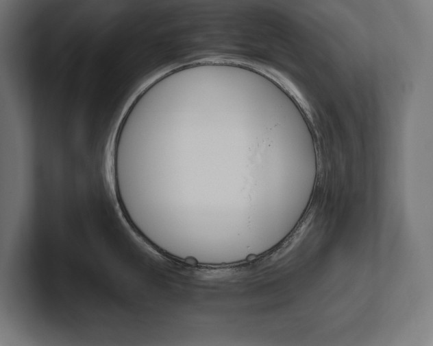 X0000102391247200808010928