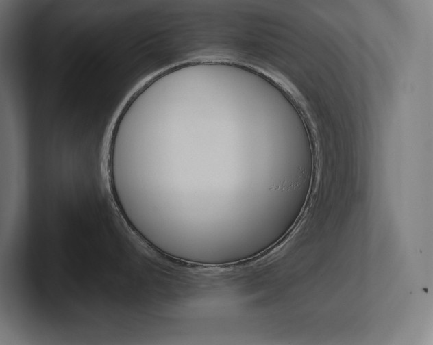 X0000102391248200808010928