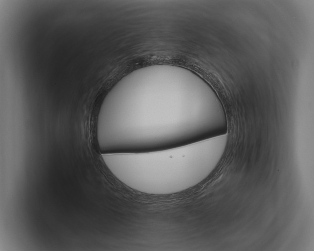 X0000102391250200808010927