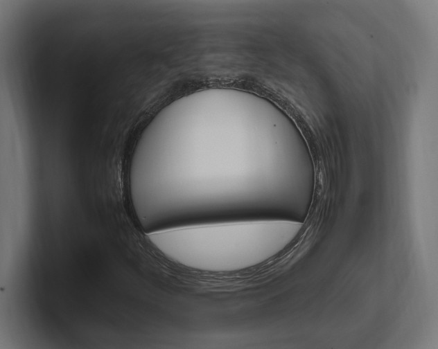 X0000102391252200808010927
