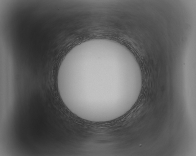 X0000102391253200808010927