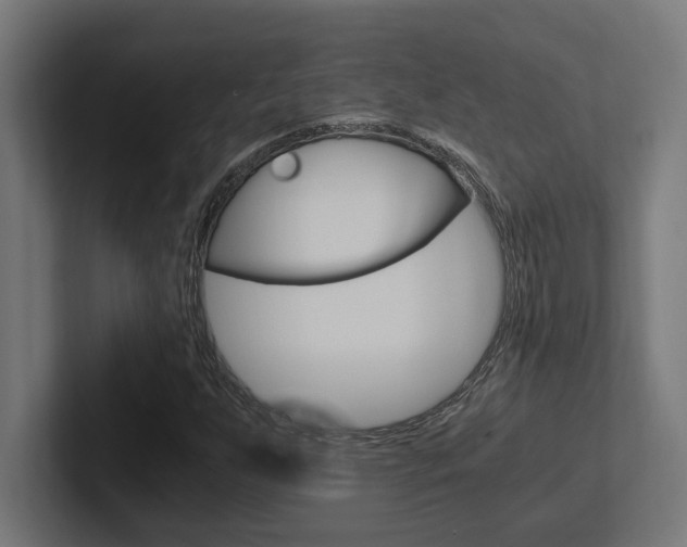 X0000102391255200808010927